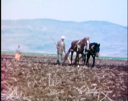 labours meknes 1968.jpg